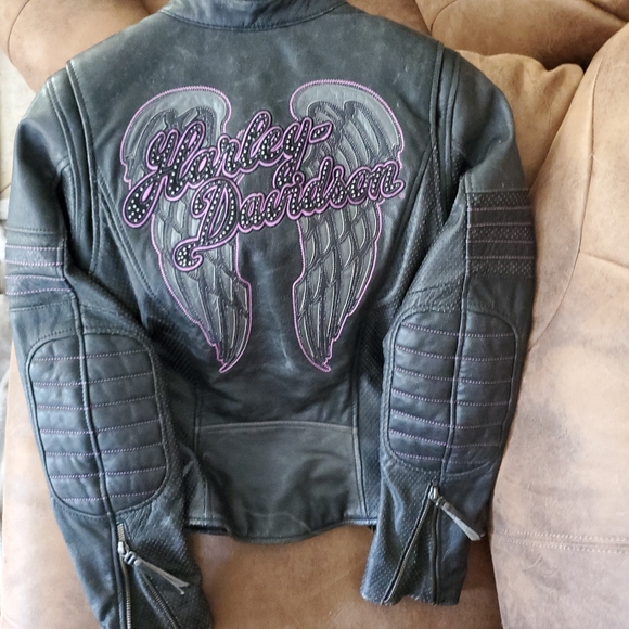 Harley davidson leather jacket and leather chaps - Picture 3 of 4